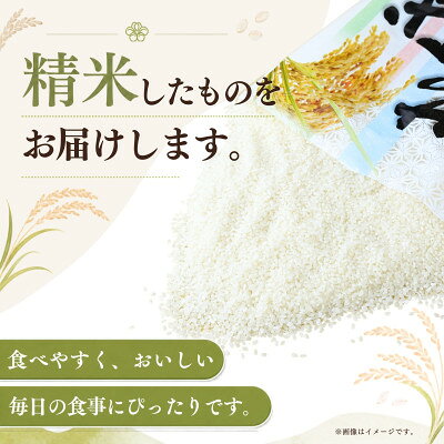 【ふるさと納税】【毎月定期便】お米屋さんのコシヒカリ 精米 10kg(5kg×2) 全6回【4094331】 f082309-kasumigaura-10000742 茨城県かすみがうら市 サンプル画像2