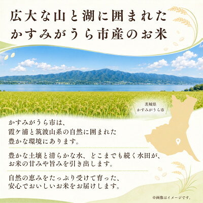 【ふるさと納税】【毎月定期便】お米屋さんのコシヒカリ 精米 10kg(5kg×2) 全6回【4094331】 f082309-kasumigaura-10000742 茨城県かすみがうら市 サンプル画像3