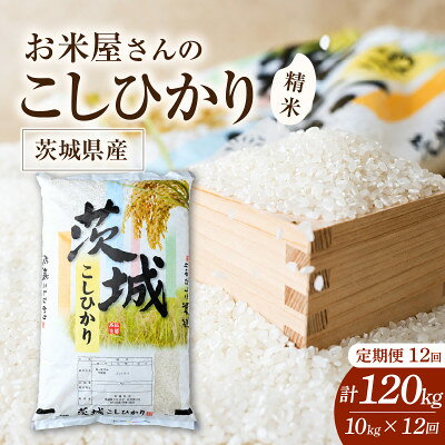 【ふるさと納税】【毎月定期便】お米屋さんのコシヒカリ 精米 10kg(5kg×2) 全12回【4094332】