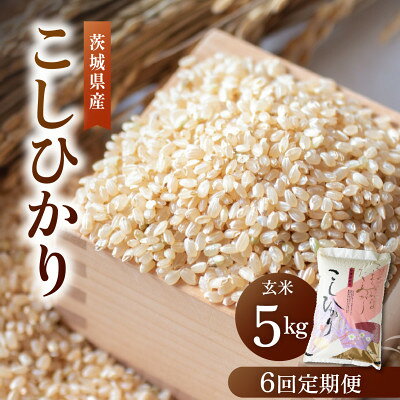 こだわりのコシヒカリ 玄米 5kg