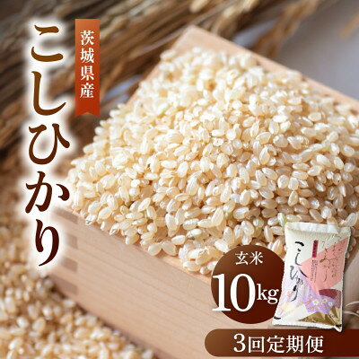【ふるさと納税】【毎月定期便】茨城県産 コシヒカリ 精米 10kg | こしひかり 茨城県かすみがうら市全3回【4094324】