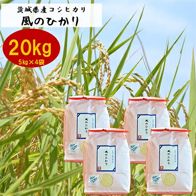 2023年9月発送開始『定期便』お米ソムリエ厳選!茨城県産コシヒカリのお米20kg 全12回【5154866】