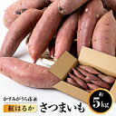 名称 かすみがうら市産　さつまいも(紅はるか)約5kg 保存方法 常温 発送時期 お申込より1週間程度で順次発送 提供元 株式会社藤通 配達外のエリア なし お礼品の特徴 全国でも有数のさつまいもの産地、茨城で育ったあま～いさつまいもをお届けします。焼き芋にするとたっぷりの蜜がジュワーっと口の中に広がります。もちろんお料理にしても美味しくお召し上がりいただけます。 ■内容量/原産地 さつまいも(紅はるか)約5kg 原産地:茨城県かすみがうら市 ■賞味期限 出荷日より1ヶ月 ■注意事項/その他 ※日の当たらない冷暗所で保存してください。 ※画像はイメージです。 ・ふるさと納税よくある質問はこちら ・寄附申込みのキャンセル、返礼品の変更・返品はできません。あらかじめご了承ください。