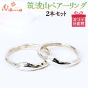 【ふるさと納税】筑波山ペア―リング2本セット ペアリング pt950 プラチナ ギフト 記念 結婚指輪 贈り物 贈答用 リング アクセサリー ジュエリー ジュエ...