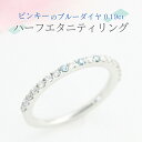 【ふるさと納税】ピンキーの ブルーダイヤ 0.19ct ハーフエタニティリング ダイヤモンド リング ジュエリー アクセサリー レディース ギフト プレゼント ...