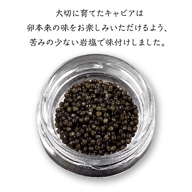 【ふるさと納税】【2025年12月上旬発送開始】 お試し キャビア 9g×1瓶 少量 贅沢 グルメ お正月 クリスマス 高級食材 記念日 誕生日 世界三大珍味 国産キャビア つくばチョウザメ産業