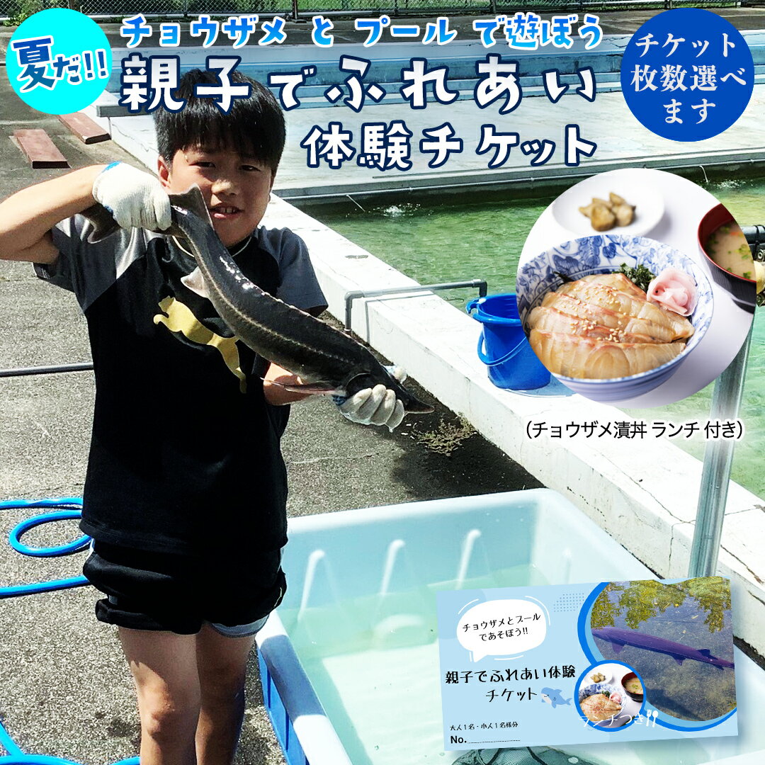 [夏だ!! チョウザメ と プール で遊ぼう] 親子 で ふれあい体験 チケット (チョウザメ漬丼 ランチ 付き) 選べる 人数 レジャー アクティビティ 動物ふれあい 夏休み 体験チケット チケット