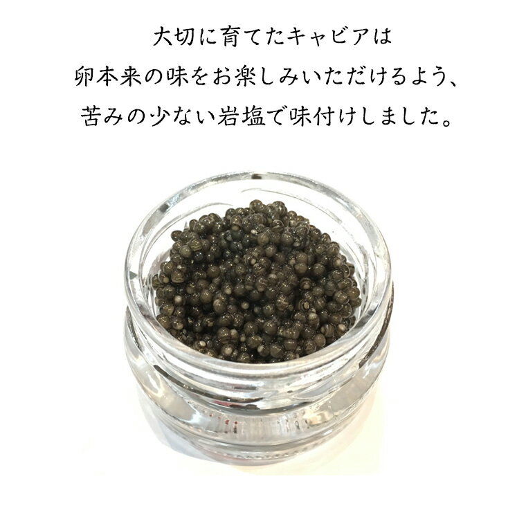 【ふるさと納税】 つくばスタージョン キャビア 20g×1 キャビア 高級食材 記念日 誕生日 世界三大珍味 国産キャビア 茨城県産 茨城
