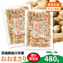 【ふるさと納税】 おおまさり 煎り落花生 合計480g (240g×2袋)【2025年11月上旬から発送開始】 簡易包装 ポスト投函 ご自宅用 ピーナッツ 落花生 おつまみ おやつ お菓子 ナッツ