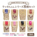 【ふるさと納税】落花生 からの 贈り物 ラッカちゃんシリーズ 8種セット ピーナッツ 国産 から付き落花生 味付き落花生 バタピーナッツ コーヒーピーナッツ み...