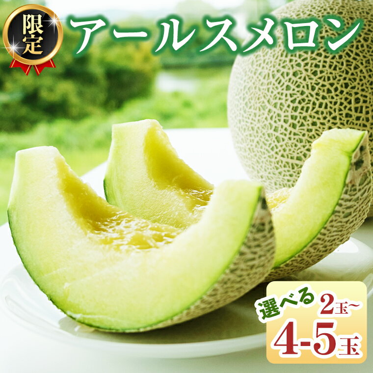 【ふるさと納税】《2025年8月下旬発送開始》《 選べる 玉数 》 季節 限定 ！甘さ満点 アールスメロン 2玉 ／ 3玉 ／ 4～5玉 果物 フル..