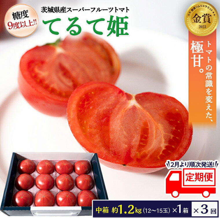 【ふるさと納税】 《 先行予約 》《 定期便 》スーパーフルーツ トマトてるて姫 中箱 約1.2kg×1箱×3回 お届け！ 糖度9度以上 (2024年2月より発送開始) フルーツトマト とまと 野菜 茨城県産