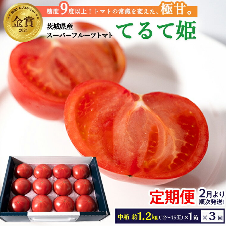 【ふるさと納税】 糖度9度以上 トマト 【 2025年収穫分 先行予約 】【定期便】スーパーフルーツトマトてるて姫 中箱 約1.2kg×1箱×3回 お届け！ 糖度9度以上 フルーツトマト トマト 2025年2月上旬発送開始 とまと 野菜のサムネイル