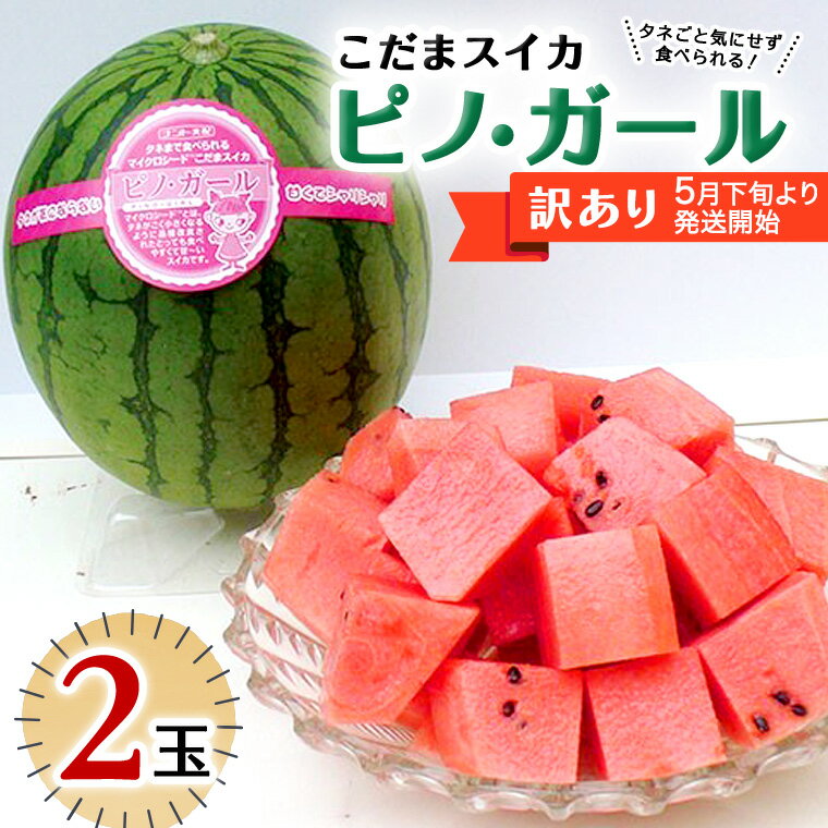 【ふるさと納税】【 訳あり 】【 5月下旬より順次発送 】 感動必至！ タネが気にならない こだまスイカ ピノ・ガール （ 2玉 ） すいか スイカ 西瓜 旬 旬の果実 旬のフルーツ くだもの 果実 フルーツ 夏のサムネイル