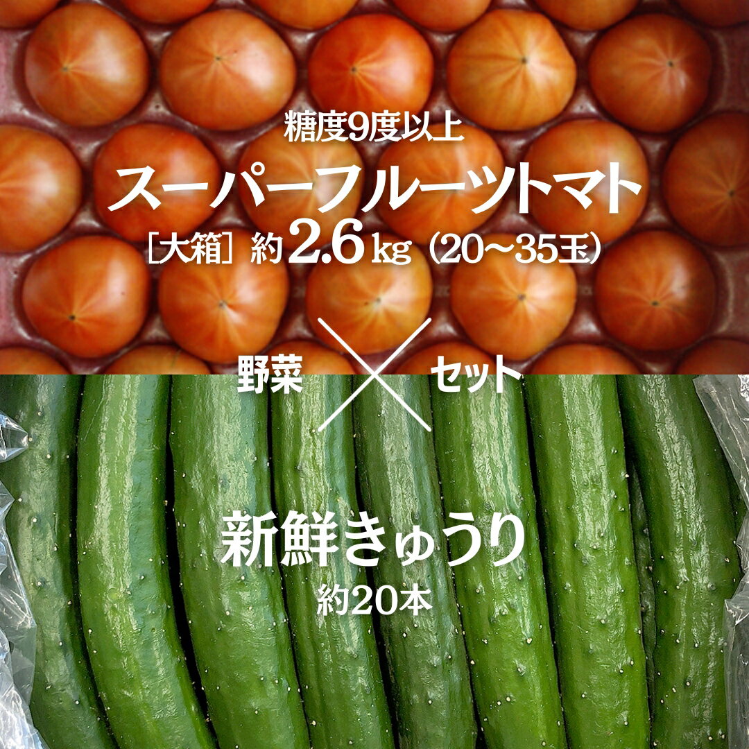 【ふるさと納税】《2024年2月上旬発送開始》スーパーフルーツトマト 大箱 約2.6kg （20〜35玉）糖度9度以上 ＆ 新鮮 きゅうり 約20本 野菜セット とまと トマト 胡瓜 キュウリ 野菜 サラダのサムネイル