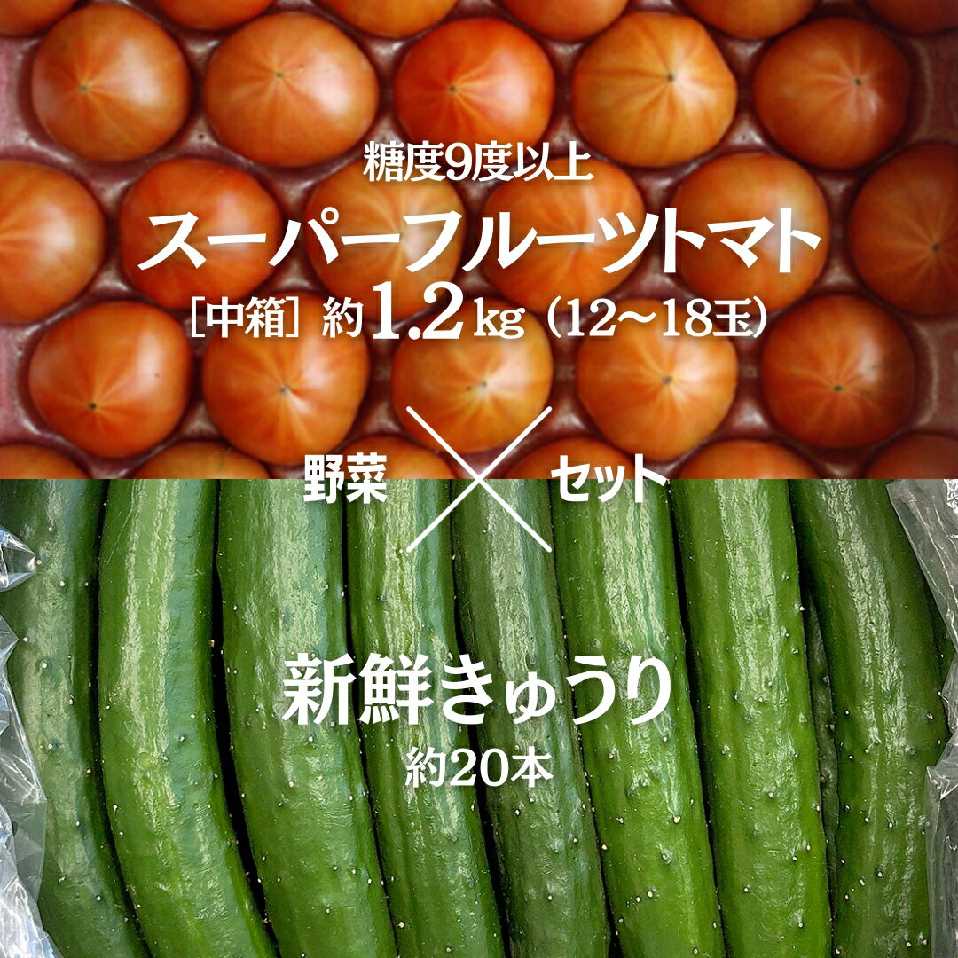 [2024年2月上旬発送開始]スーパーフルーツトマト 大箱 約2.6kg (20〜35玉)糖度9度以上 & 新鮮 きゅうり 約20本 野菜セット とまと トマト 胡瓜 キュウリ 野菜 サラダ