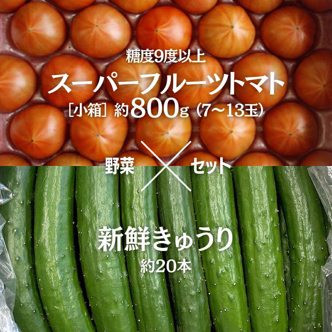 [2024年2月上旬発送開始]スーパーフルーツトマト 小箱 約800g (7〜13玉) 糖度9度以上 & 新鮮きゅうり 約20本 野菜セット とまと トマト 胡瓜 キュウリ 野菜 サラダ