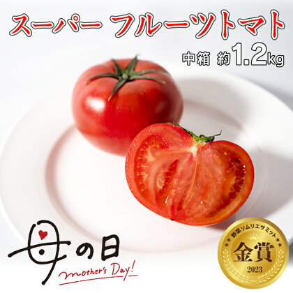 《 母の日 メッセージカード付 》 ≪5月6日～12日お届け≫スーパーフルーツトマト 中箱 約1.2kg×1箱 糖度9度以上 トマト とまと 野菜