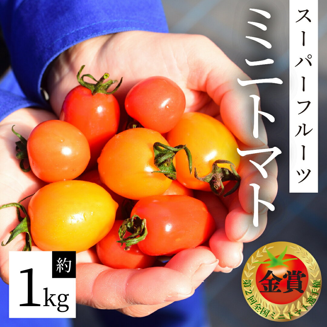 【ふるさと納税】スーパーフルーツ ミニトマト 約1kg ミニトマト フルーツトマト ブランドトマト トマト とまとのサムネイル
