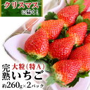 【ふるさと納税】クリスマス (12月25日)に 届く! 完熟 いちご 2パック! (1P 260g ) 数量限定 完熟いちご かおり野 とちおとめ やよいひめ 国産 いちご イチゴ 苺 旬のいちご 贈り物 果物 フルーツ 茨城県産 KEK