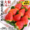 【ふるさと納税】【12/17までの申込で年内にお届け!】 完熟 とちおとめ 260g×2~4パック 年内お届け 国産 いちご イチゴ 苺