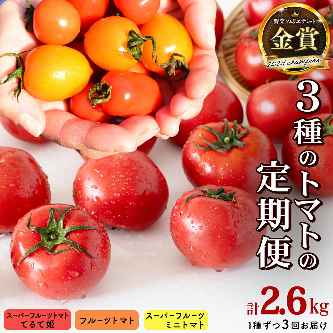 [ 3回定期便 ] 厳選 フルーツトマト 3品種セット( 毎月1種ずつお届け ) てるて姫 ミニトマト 2026年収穫分 先行予約 フルーツトマト ブランドトマト 野菜