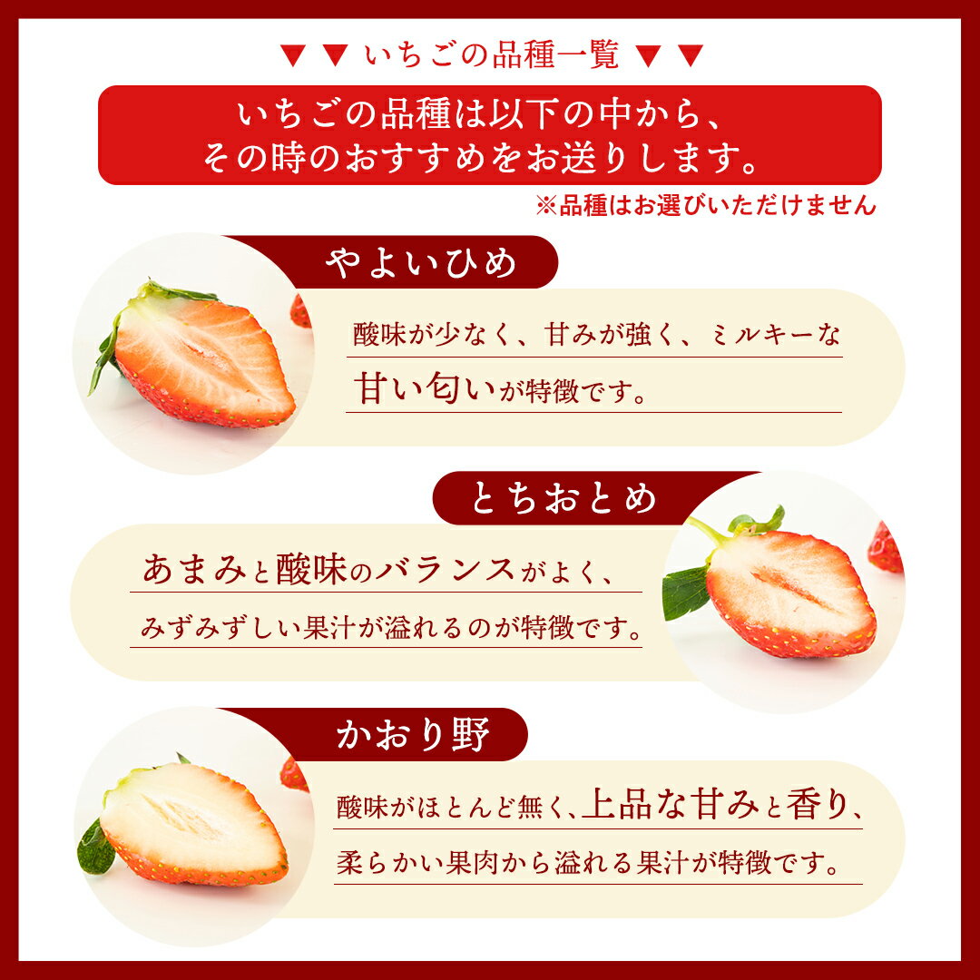 【ふるさと納税】 【2ヵ月連続】 採れたて完熟いちご 定期便（260g×2～4パック×2回／12月・1月お届け） かおり野 とちおとめ やよいひめ 国産 イチゴ 苺