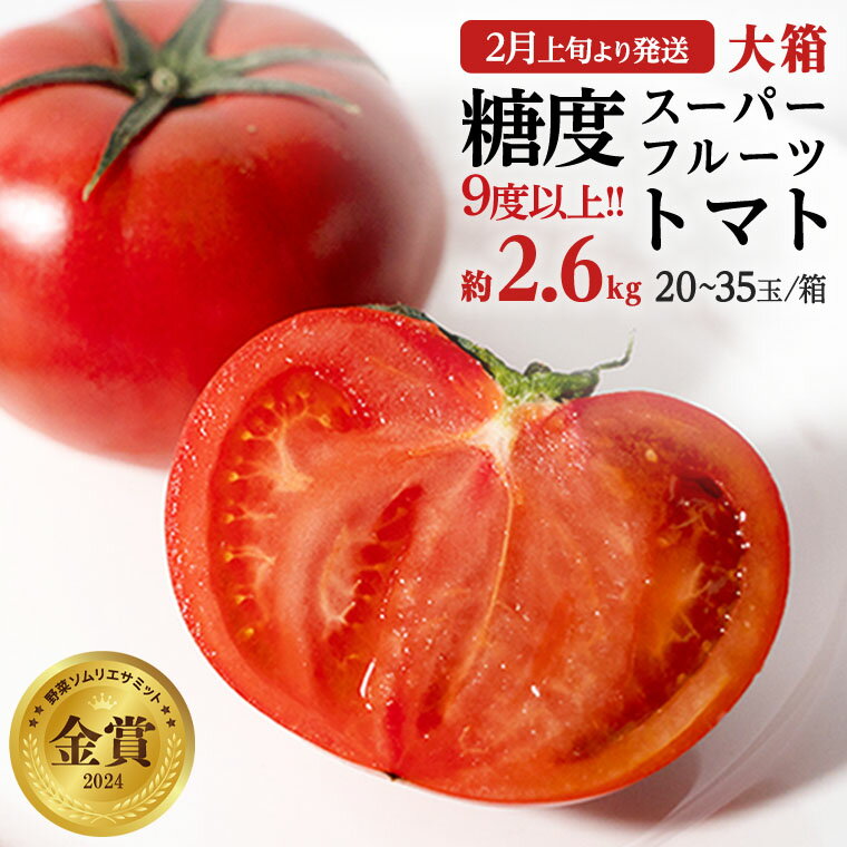 【ふるさと納税】糖度9度以上 トマト 【 2025年収穫分 