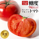 【ふるさと納税】《 2026年収穫分 先行予約 》 糖度9度以上 スーパーフルーツトマト 約800g ~ 2.6kg × 1箱 ~ 3箱 定期便 フルーツトマト ブランドトマト 野菜 ギフト 贈答