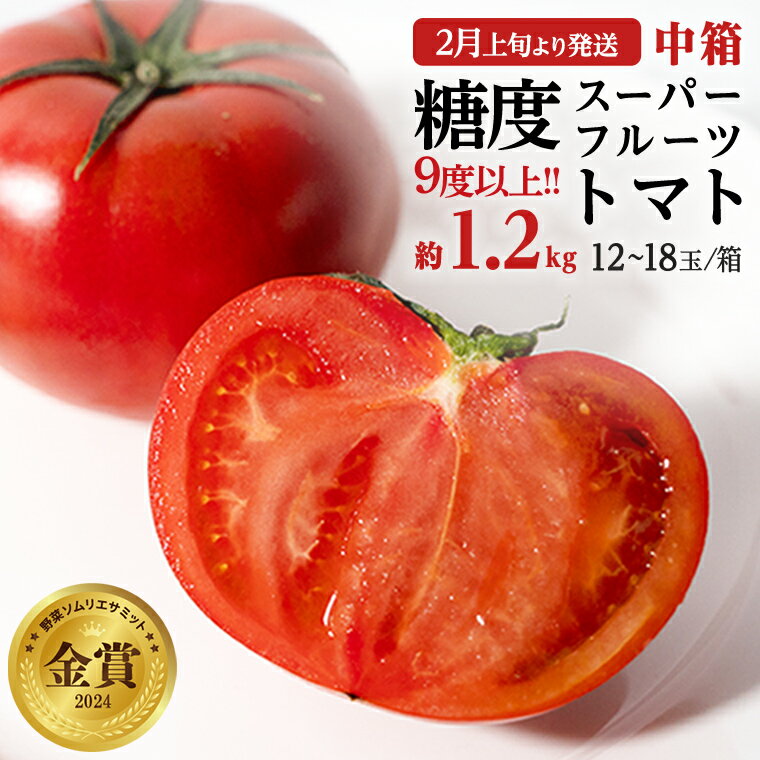 糖度9度以上 トマト [ 2025年収穫分 先行予約 ] スーパーフルーツトマト 中箱 約1.2kg (12〜18玉/1箱)糖度9度以上 フルーツトマト トマト 2025年2月上旬発送開始 数量限定 とまと 野菜