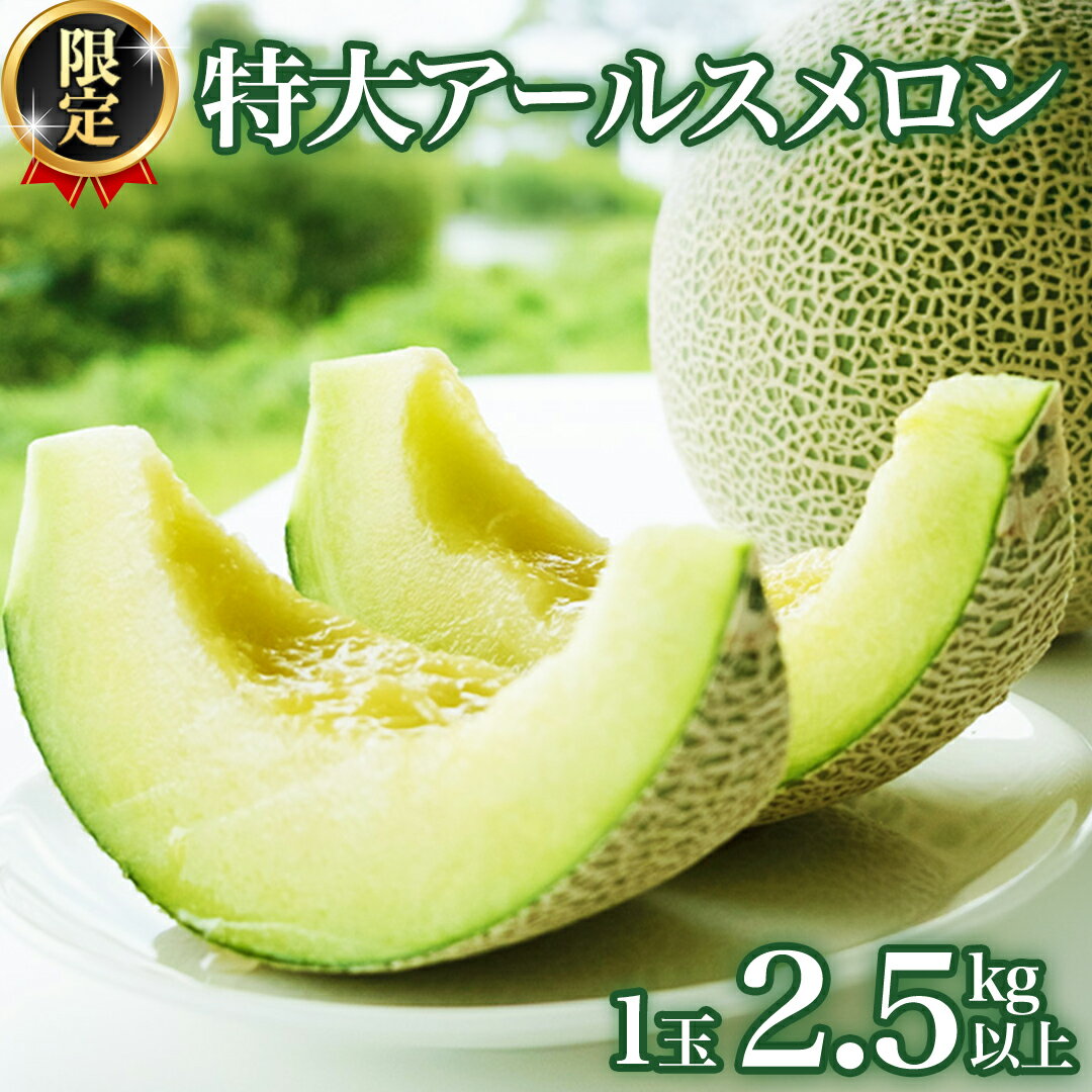 【ふるさと納税】《2025年8月下旬発送開始》 季節 限定 ！ 甘さ満点 特大 アールスメロン 1個 箱 果物 フルーツ 農家直送 産直 青肉メ..