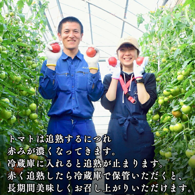 無双本舗 節蓮根粉末50g ×1個＼着後レビューでプレゼント有！／