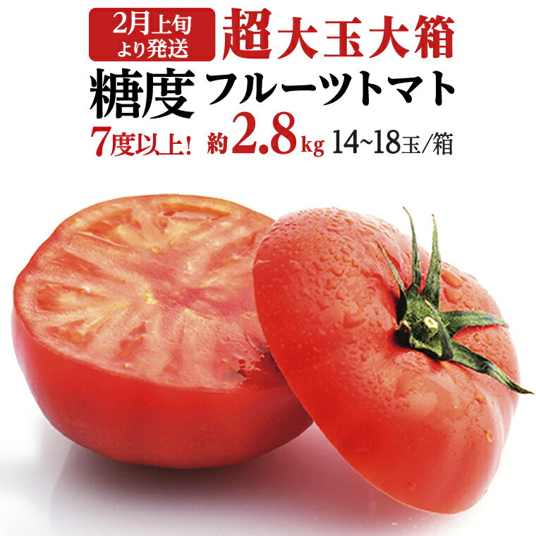 ≪2024年2月上旬発送開始》 超大玉 フルーツトマト 大箱 約2.8kg ×1箱 （14～18玉/1箱） 糖度7度以上 トマト とまと 野菜