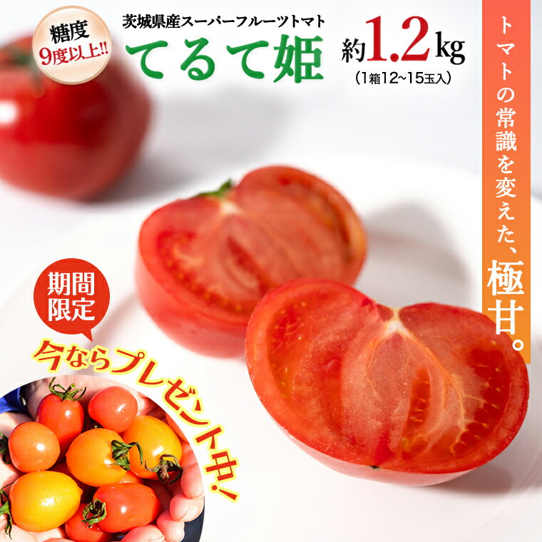 【ふるさと納税】 《 キャンペーン限定 ミニトマト付き 》 スーパーフルーツトマト てるて姫 中箱 約1.2kg ( 12〜15玉 ) × 1箱 糖度9度以上 ブランドトマト フルーツトマト トマト とまと