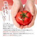 茨城県桜川市の画像3