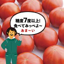 茨城県桜川市の画像3