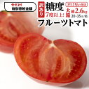 21位! 口コミ数「3件」評価「3.67」《 9/30まで早期予約 特別寄附金額 》【 訳あり 】 糖度7度以上!フルーツトマト 大箱 約2.6kg × 1箱 (20~35玉/1箱) 2026年3月から発送開始 トマト とまと ブランドトマト・・・