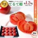 【ふるさと納税】《2024年2月上旬発送開始》 スーパーフルーツトマト てるて姫 中箱 約1.2kg 【12〜15玉/1箱】糖度9度以上 ブランドトマト フルーツトマト トマト とまと