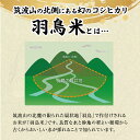 茨城県桜川市の画像2