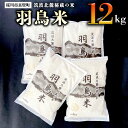 【ふるさと納税】 《令和5年産》 筑波北麓秘蔵の米 羽鳥米 