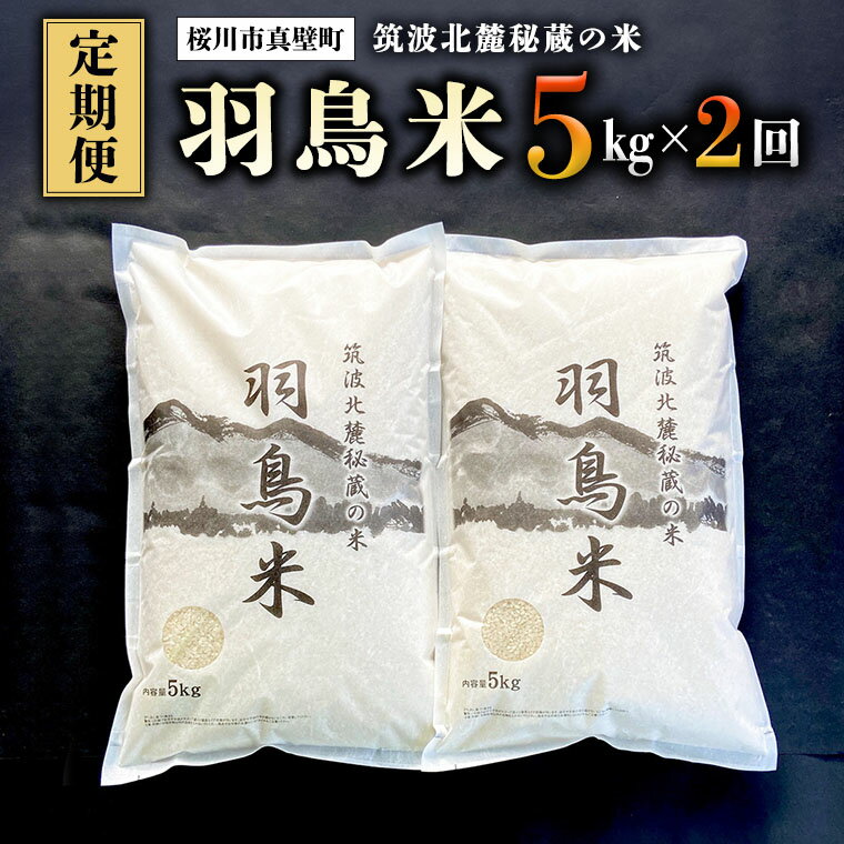 【ふるさと納税】《令和5年産》【 定期便 】 筑波北麓秘蔵の米 羽鳥米 10kg 5kg×2回 米 コメ