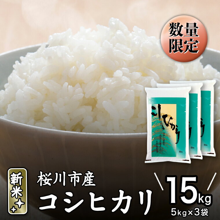 コシヒカリ 無洗米 20kg 米 お米 富山県産 5kg×4 令和4年産 【本日特価】