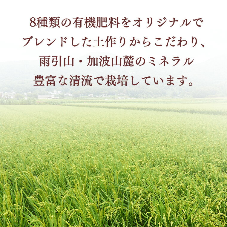 【ふるさと納税】令和7年産 桜川市の 厳選 甘引米 コシヒカリ 食べ比べセット（玄米・精米） 特別栽培米 コシヒカリ こしひかり 玄米 精米 米 こめ コメ 有機肥料 桜川市産 茨城県 いばらき