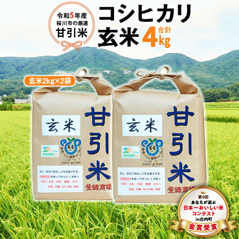 【ふるさと納税】令和5年産 桜川市 の 厳選 甘引米 コシヒ