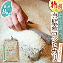 【ふるさと納税】桜川市 真壁産 コシヒカリ 白米 8kg 米 コメ こしひかり お米 ごはん 国産 茨城県産