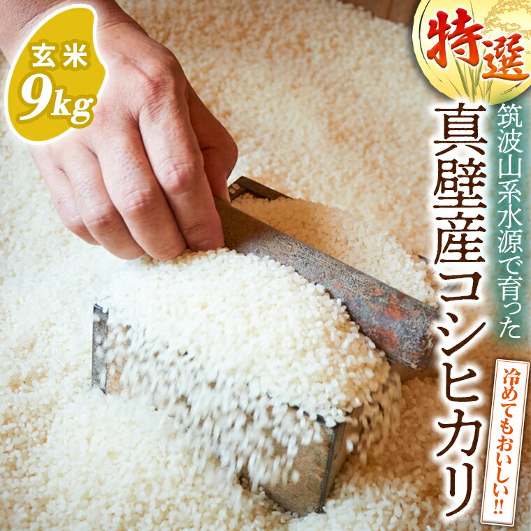 全国お取り寄せグルメ茨城コシヒカリ（玄米）No.26