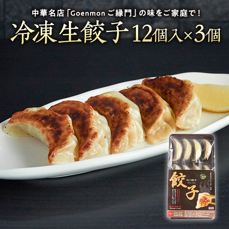 Goenmonの冷凍生餃子 本格 中華 冷凍餃子 生餃子 ギョウザ 焼餃子 セット お取り寄せ 手包み おつまみ おかず