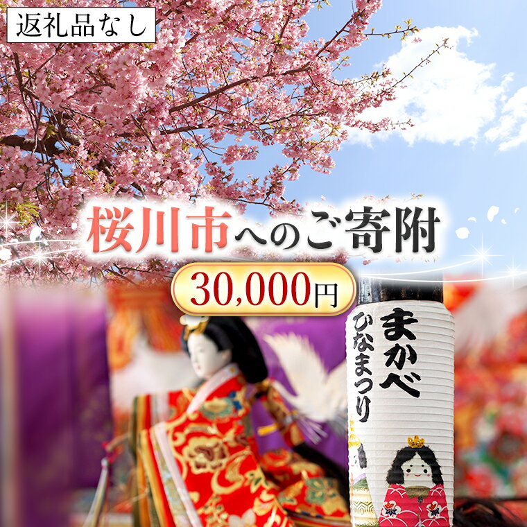 楽天ふるさと納税　【ふるさと納税】【返礼品なし】桜川市へのご寄附30,000円 茨城県 桜川市 桜川市への寄附 返礼品なし