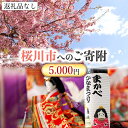 【ふるさと納税】【返礼品なし】桜川市へのご寄附5,000円 茨城県 桜川市 桜川市への寄附 返礼品なし