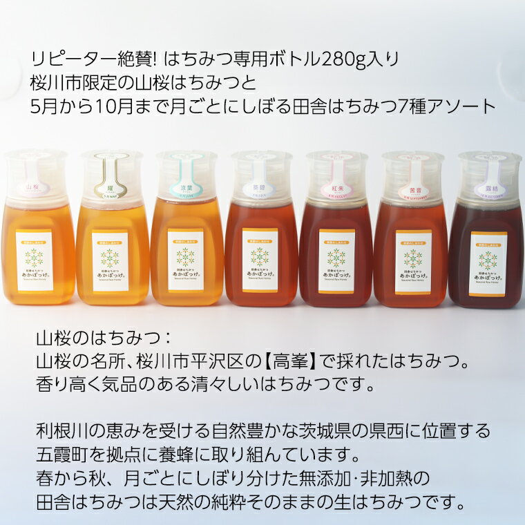 【ふるさと納税】《 桜川市限定 》 山桜はちみつ と 田舎はちみつ ボトル 全 7種 セット [ピタッとボトルB7山桜] 【茨城県共通返礼品／五霞町】 280g×7本 ボトル 生ハチミツ 非加熱 国産 国産はちみつ ハチミツ 茨城県産